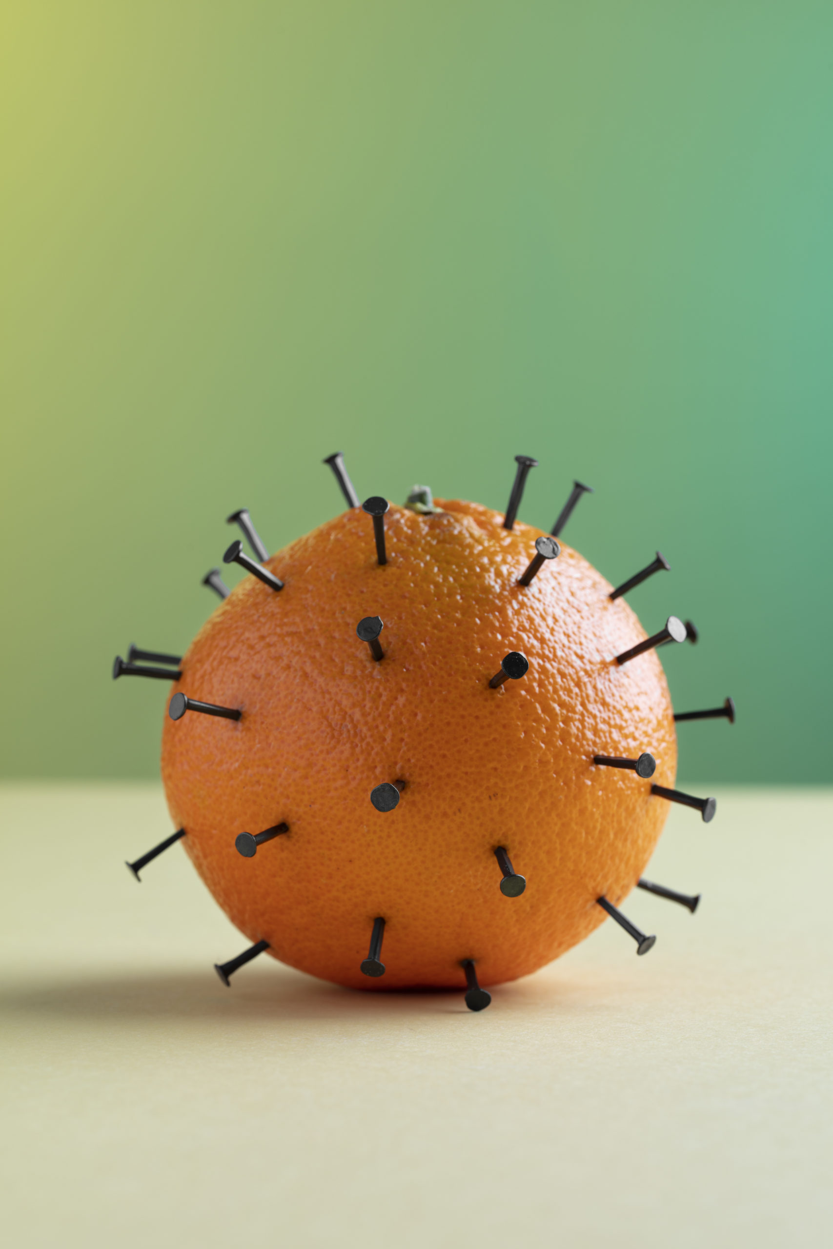 L’immunité : Un bouclier naturel à renforcer avec les plantes