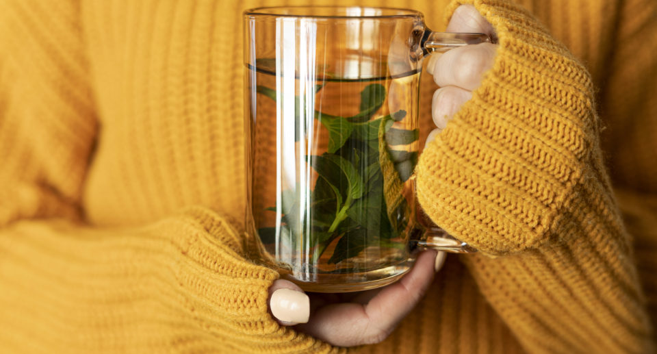 🌿 Préparer une Tisane : comprendre la différence entre une infusion et une décoction