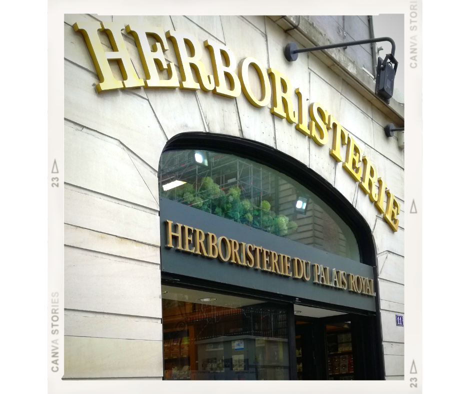 Rentrée : les 4 familles de plantes pour repartir du bon pied